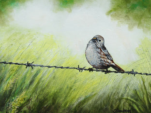 Bird on a Barbed Wire by Shela Goodman |  Artwork Main Image 