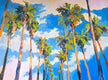 Original art for sale at UGallery.com | Palm Trees and Sky by Suren Nersisyan | $1,800 | oil painting | 30' h x 40' w | thumbnail 1