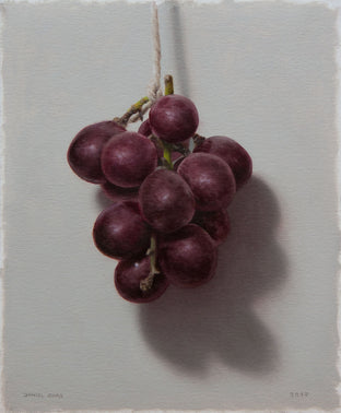 Grapes by Daniel Caro |  Artwork Main Image 