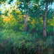 Original art for sale at UGallery.com | Woodland Sentinels by Suzanne Massion | $850 | oil painting | 24' h x 24' w | thumbnail 1